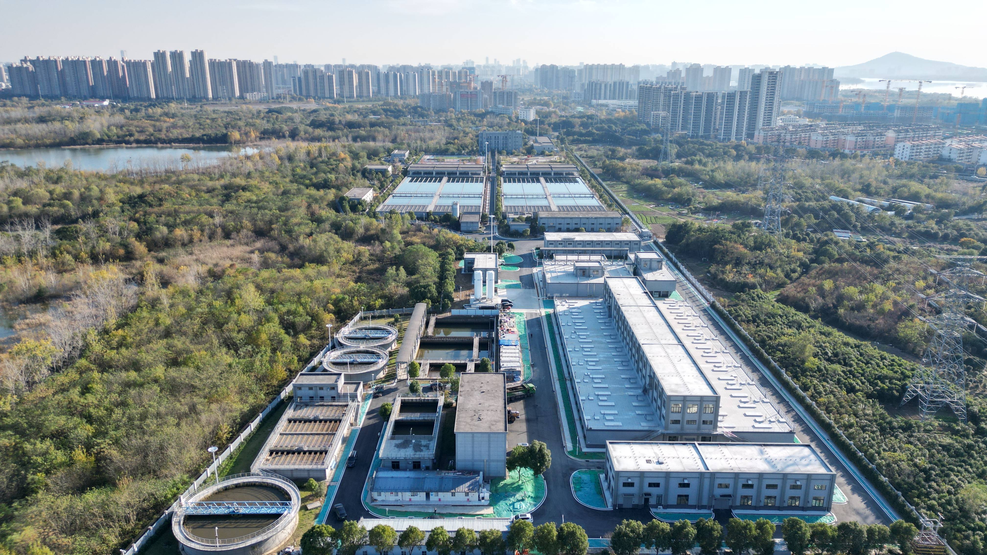 荆门市合肥专业企业价值增长(合肥市重点企业产业目录)