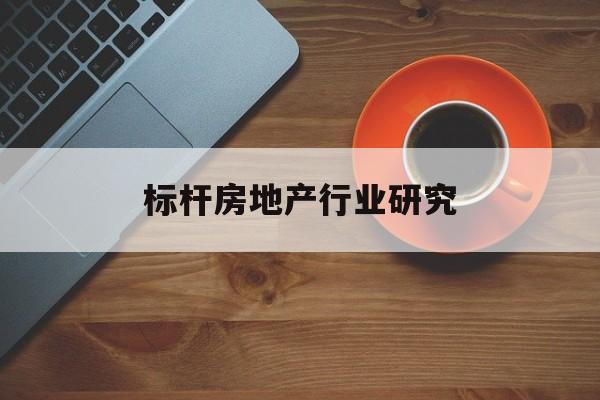 荆门市标杆房地产行业研究(房地产领域的标杆人物)