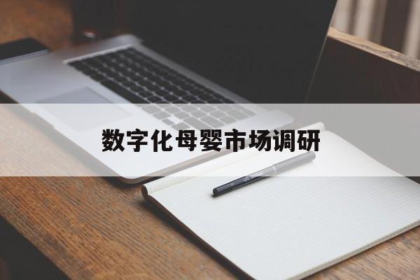 荆门市数字化母婴市场调研(数字化母婴市场调研报告)